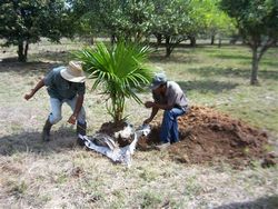 Las Tunas, Cuba Protects Its Soil